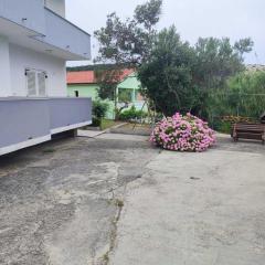 Apartment Ankica Valeria