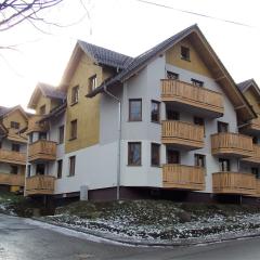 Apartament Podkarpatka