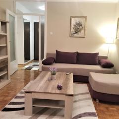Arena West Apartment