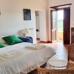 La Porticella - with inner etruscan museum