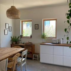 Quiet cottage in the pastoral Galilee hills