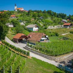 Vineyard Cottage Hočevar With Sauna - Happy Rentals