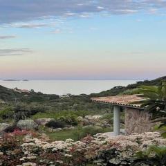 CORSACASA Villa in Palombaggia sea view