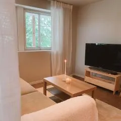 Cozy and newly renovated appartment