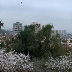 Terraza Peru