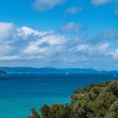 Picturesque on Passage - Shute Harbour