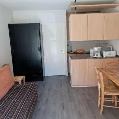 Studio Cabine 4 Pers - Pied des Pistes - Parking - Animaux Autorisés - FR-1-404-50