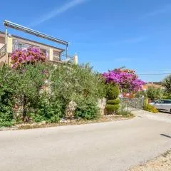 Apartments Branko