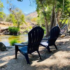 Sequoia Cabin by the River