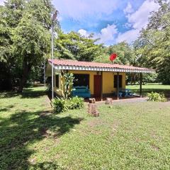 Iguana Street Houses