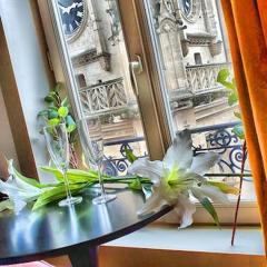 Suite st lô 1 Rouen (centre historique)