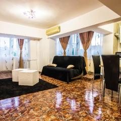 CITY CENTER Bulevard UNIRII 1BR SPACIOUS Apartment