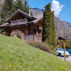 Classy Alpine Hideaway in the Portes du Soleil