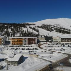 Holiday Home Ylläs chalets a502 by Interhome