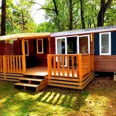 Mobil-home dans la forêt haute et tranquille
