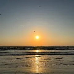 Excelsior apartaments 2 mamaia nord