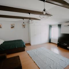 Apartament Serce Łodzi