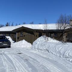 New mountain lodge - Geilo-Kikut - Great location