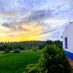 Casa de Campo, Quinta do Funchal