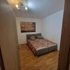 Apartman Palarikova