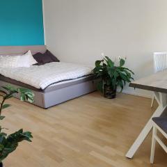Modern studio, central location and free parking