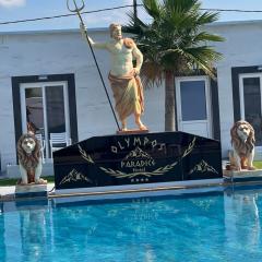 Paradice Hotel Luxury Suites-Near zorbas Beach-FREE Breakfast