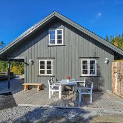 Awesome Home In Hjartdal With Kitchen