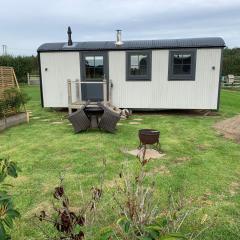 Springwood Shepherd Huts Glamping York