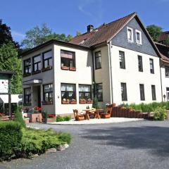 Apartment 'Frosch in the heart of the Harz