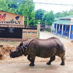 Hotel Butterfly , Sauraha , Chitwan