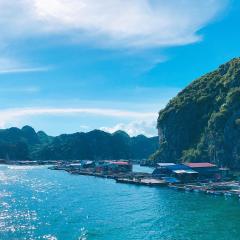 Halong Bay Full Day Cruise Kayaking, Swimming, Hiking:ALL INCLUDE