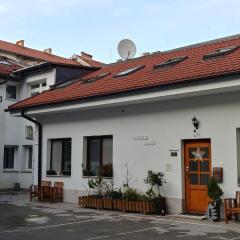 Goodlebang, 3 bed room apartment, Center Ljubljana