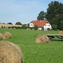 Landhaus Alt Reddevitz