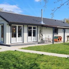 Ferienhaus Silberstern