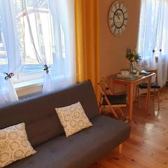 Apartmán CENTRAL, self check in 24 h, free parking