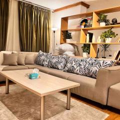 Cozy Apartment in Degla Maadi