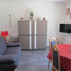 Studio cosy pour 4 pers. avec balcon, à 100m des remontées mécaniques du Linga, offre WiFi et TV - FR-1-676-15