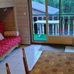 Studio Châtel, 1 pièce, 4 personnes - FR-1-676-98