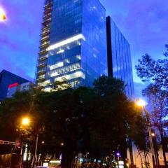 Moderno Departamento en Reforma 284