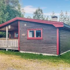 Gorgeous Home In Grue Finnskog With House A Panoramic View
