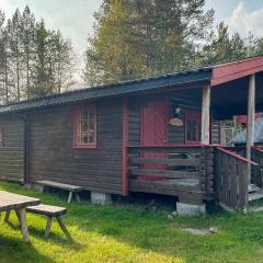 Pet Friendly Home In Grue Finnskog With Wifi