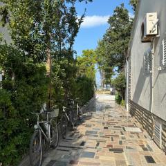 Apartments Ružica 100 meters from the beach - TA Leut Agency