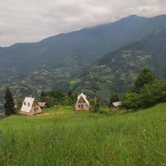 GREEN GUNDAURI