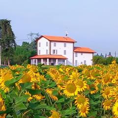 La collinetta B&B