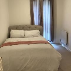 En-suite Double Room in a Flat close to central London