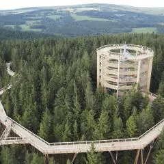 Myši V Botě Lipno
