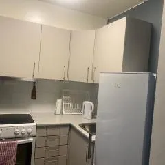 Nyoppusset leilighet