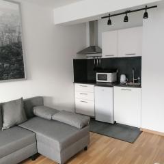 Brand new studio apartment # 45 with free parking in the city center