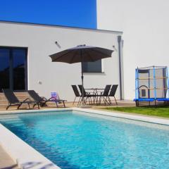 Holiday house with private pool in village Šišan