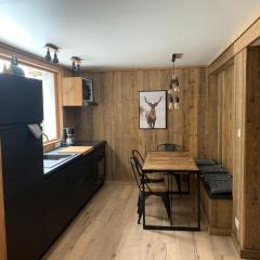 Appart 4/5 pers prox pistes La Tania/courchevel